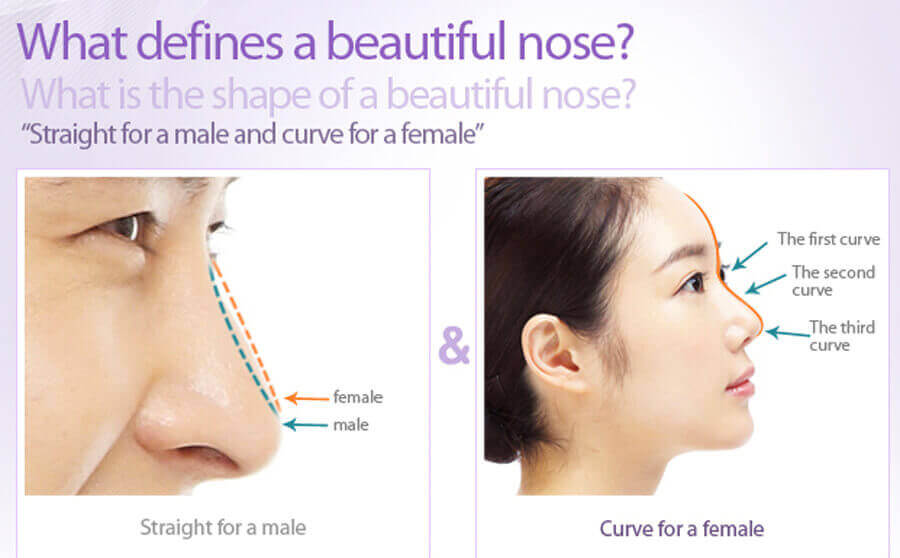 Shape of nose for male & female