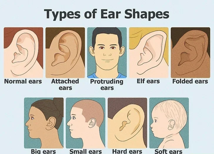 image1 2 e1766063056797