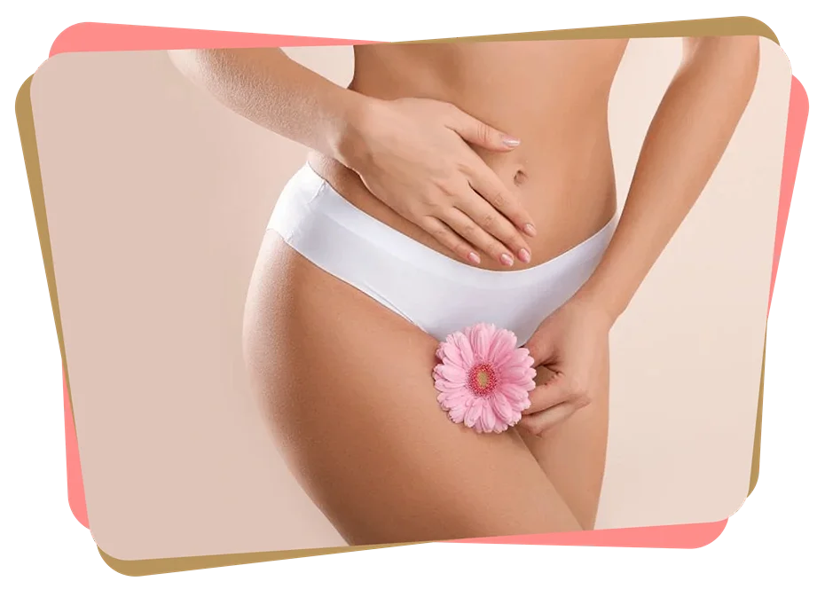 Group 342 scaled 11zon